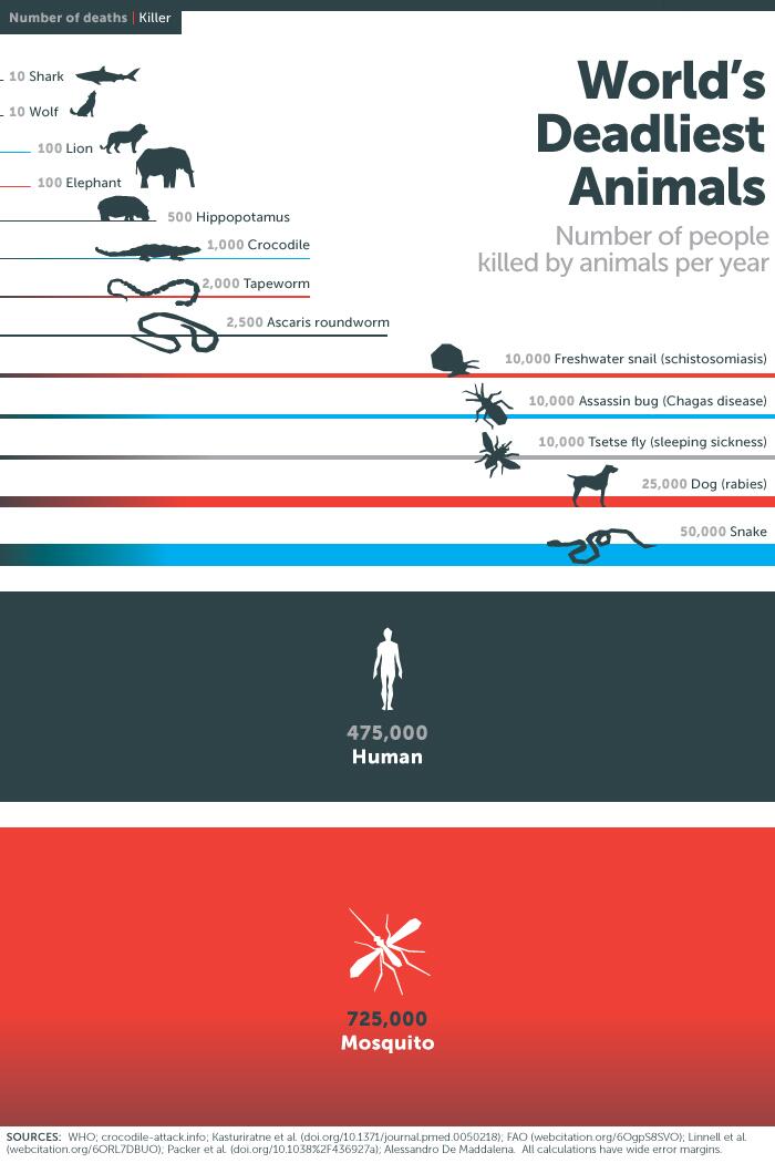 Die tödlichsten Tiere